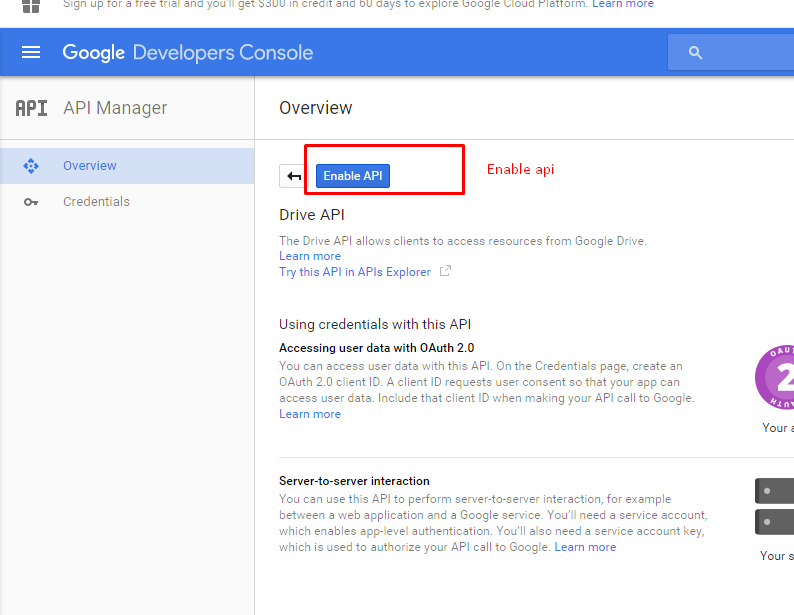 How to Create Google Drive app Codeboxr
