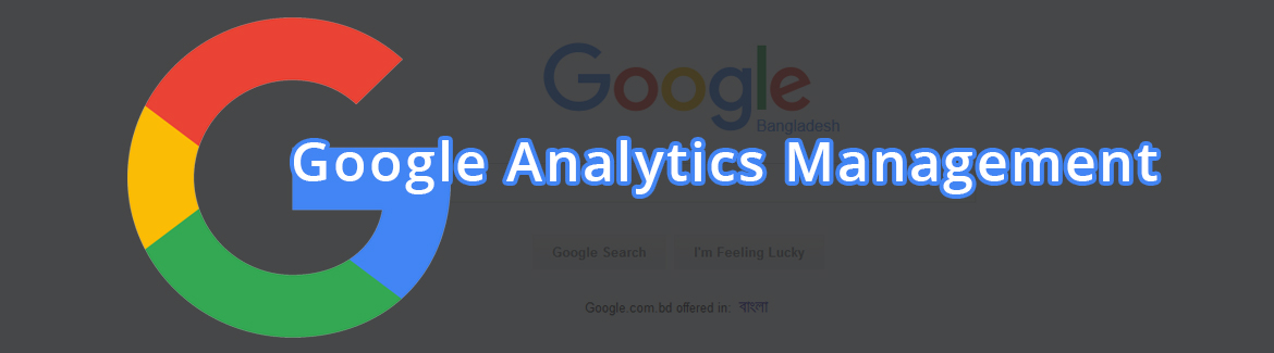 Google Analytics Management