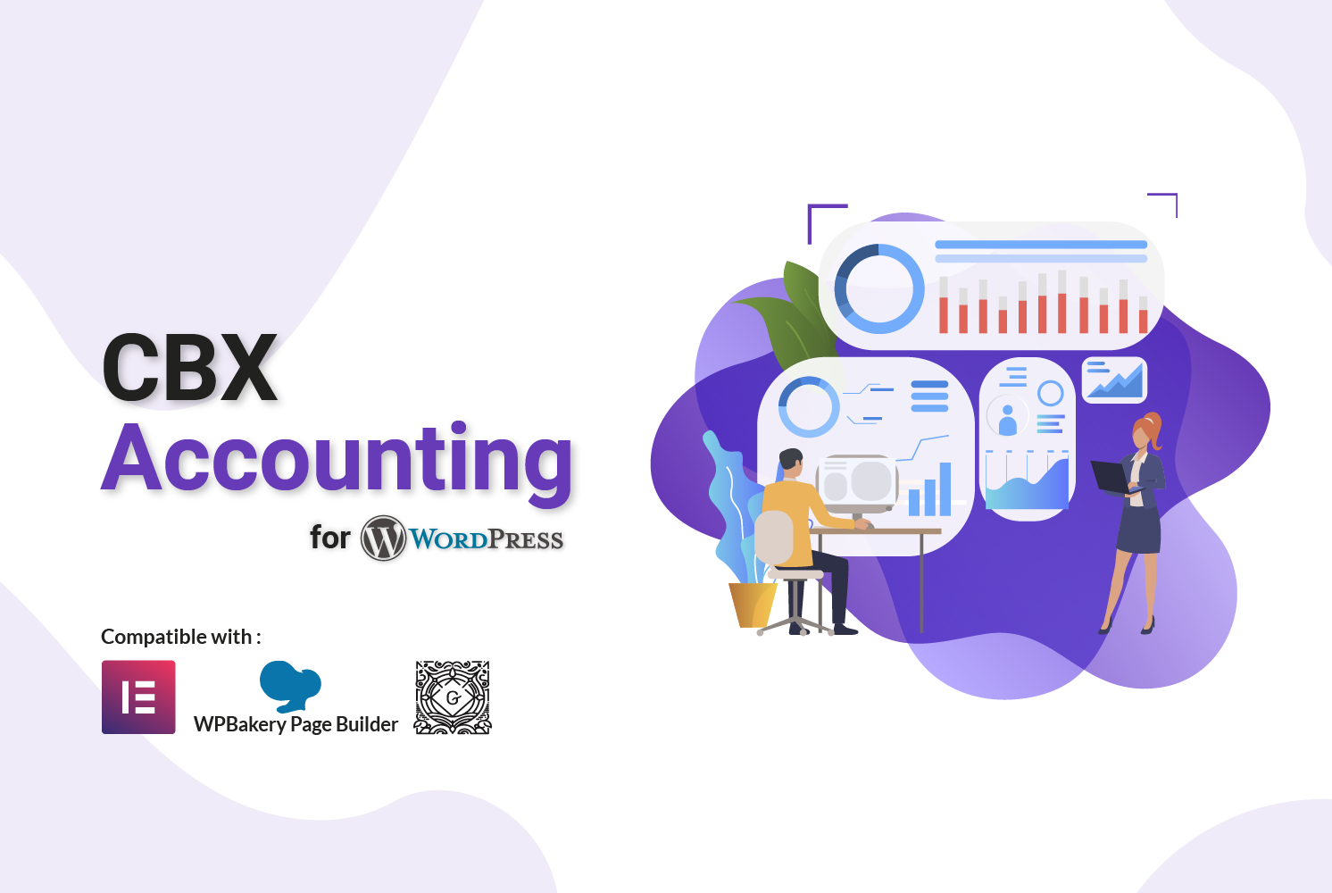 CBX Accounting for WordPress